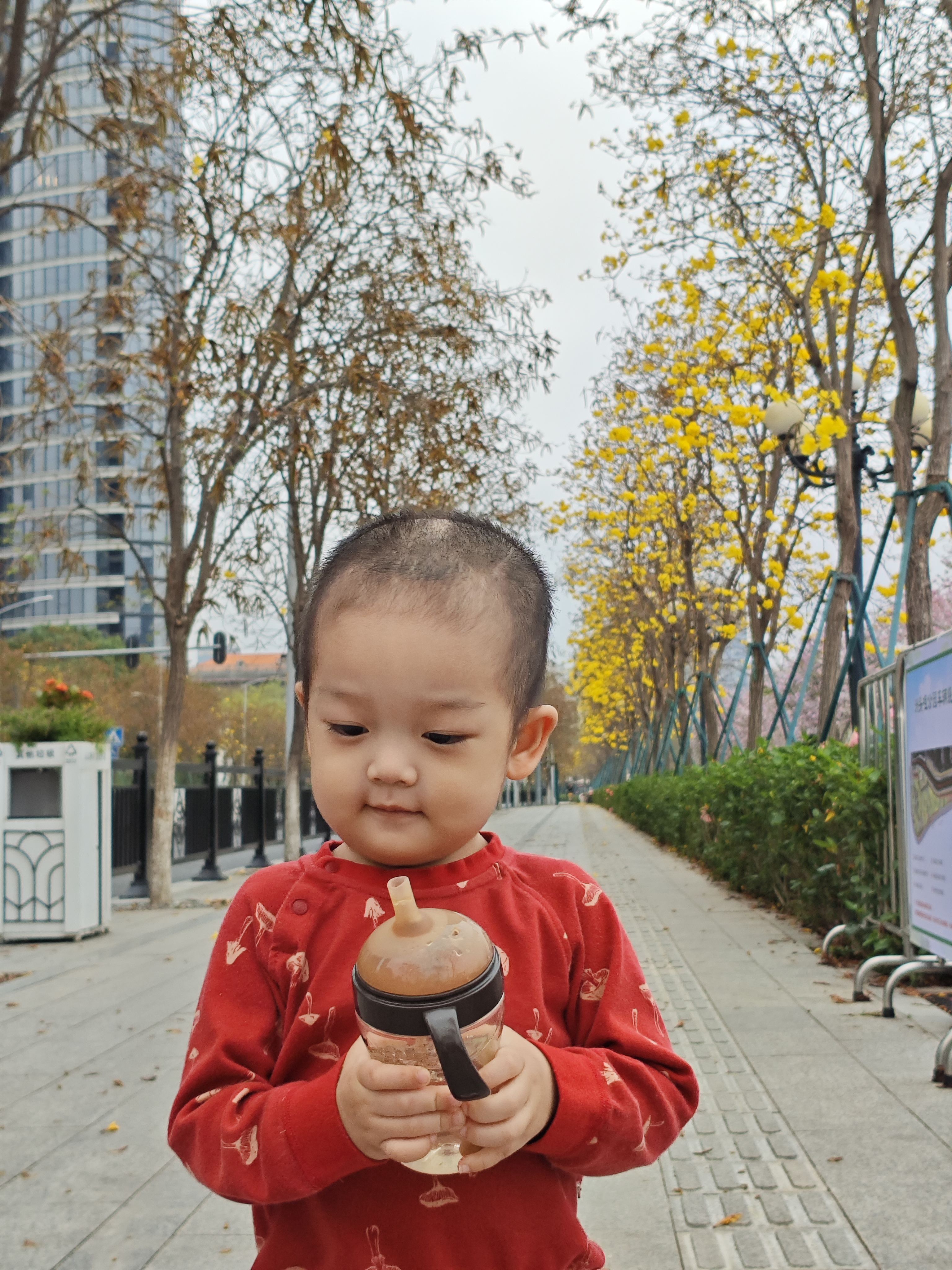 阳春三月，花游花城