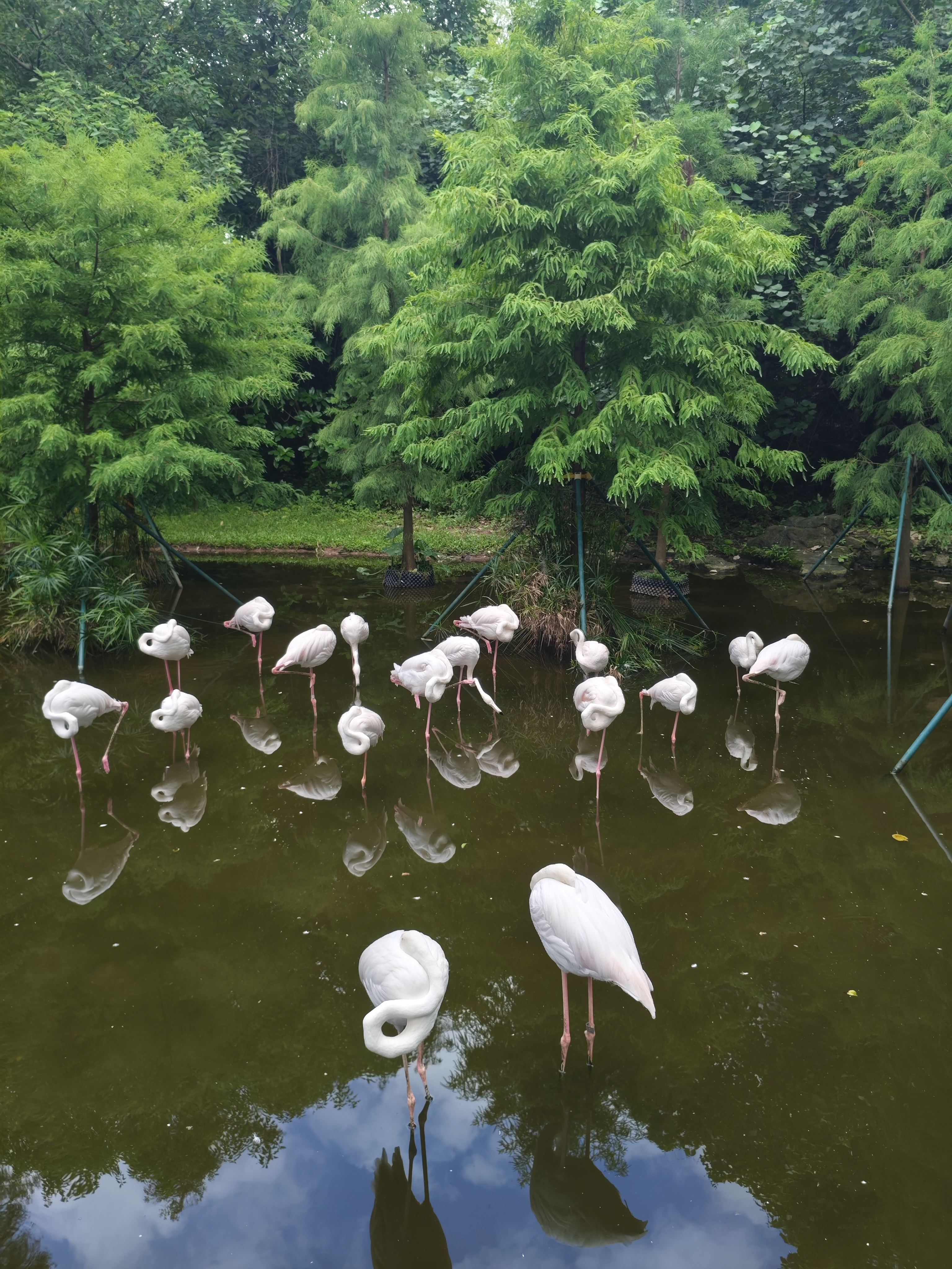 广州动物园游记